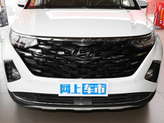 2021款 380TGDi 智爱尊贵版 LUX Premium