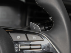 2021款 380TGDi 智爱尊贵版 LUX Premium