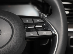 2021款 380TGDi 智爱尊贵版 LUX Premium