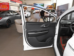 2021款 380TGDi 智爱尊贵版 LUX Premium