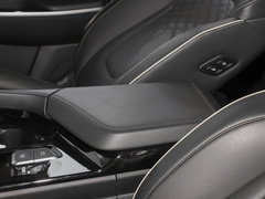 2021款 380TGDi 智爱尊贵版 LUX Premium