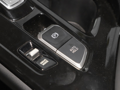 2021款 380TGDi 智爱尊贵版 LUX Premium