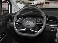 2021款 380TGDi 智爱尊贵版 LUX Premium