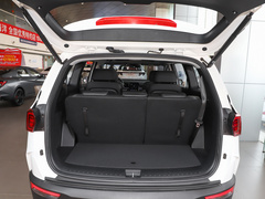 2021款 380TGDi 智爱尊贵版 LUX Premium