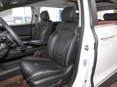 2021款 380TGDi 智爱尊贵版 LUX Premium