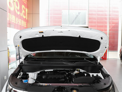 2021款 380TGDi 智爱尊贵版 LUX Premium