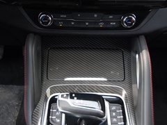 2020款 2.0T 柴油四驱罗布泊版