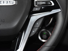 2020款 2.0T 柴油四驱罗布泊版