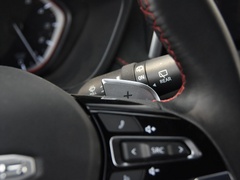2020款 2.0T 柴油四驱罗布泊版