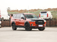 2020款 2.0T 柴油四驱阿拉善版