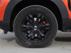 2020款 2.0T 柴油四驱阿拉善版