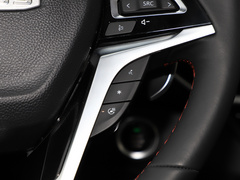 2020款 2.0T 柴油四驱阿拉善版