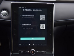 2020款 300TGI 自动Ali国潮豪华版