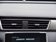 2020款 300TGI 自动Ali国潮豪华版