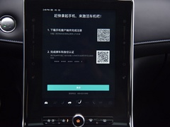 2020款 300TGI 自动Ali国潮豪华版