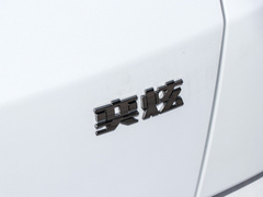 2020款 230T 自动炫目曜夜骑士版