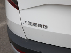 2020款 TSI280 智行豪华版 国VI