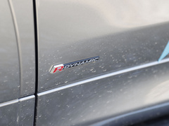 2021款 P300e 性能科技版