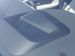 2021款 P300e 性能科技版