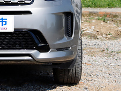 2021款 P300e 性能科技版