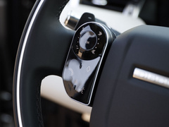 2021款 P300e 性能科技版