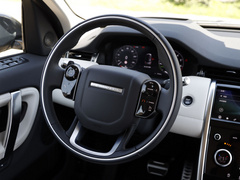 2021款 P300e 性能科技版