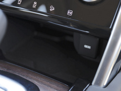 2021款 P300e 性能科技版