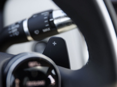 2021款 P300e 性能科技版
