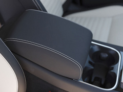 2021款 P300e 性能科技版