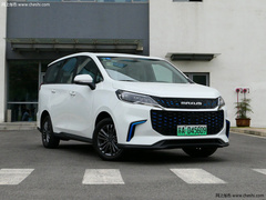 2020款 大电量舒适版 五座
