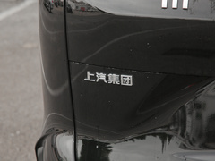 2020款 大电量豪华版 七座