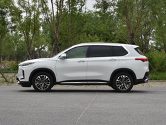 2020款 1.3T PLUG IN MATE