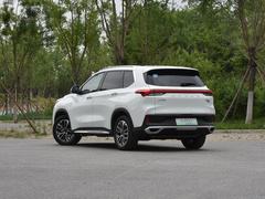 2020款 1.3T PLUG IN MATE