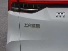 2020款 1.3T PLUG IN MATE