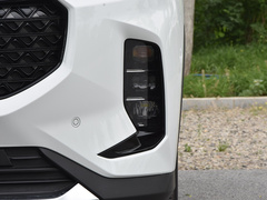 2020款 1.3T PLUG IN MATE