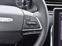 2020款 1.3T PLUG IN MATE