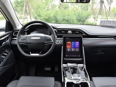 2020款 1.3T PLUG IN MATE