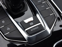 2020款 1.3T PLUG IN MATE