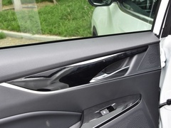 2020款 1.3T PLUG IN MATE