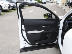 2020款 300e 纯・享版