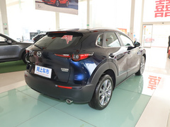 2020款 2.0L 自动嘉悦型