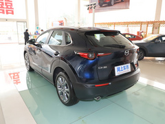 2020款 2.0L 自动嘉悦型