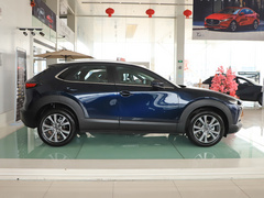 2020款 2.0L 自动嘉悦型