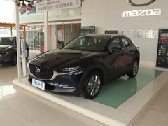 2020款 2.0L 自动嘉悦型