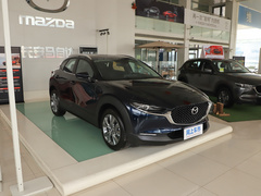 2020款 2.0L 自动嘉悦型