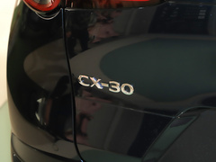 2020款 2.0L 自动嘉悦型