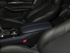 2020款 2.0L 自动嘉悦型