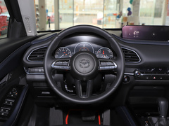 2020款 2.0L 自动嘉悦型