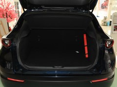 2020款 2.0L 自动嘉悦型