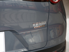 2020款 2.0L 自动质悦型